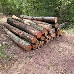 Polter Nr. 50229 Klausen 26 c, Eiche, 6,71 fm, ILBH